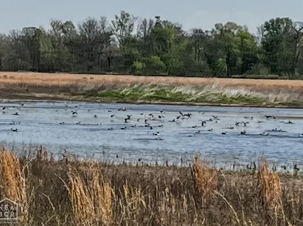 1962 Upper Lockhart Rd, Cord, AR 72524