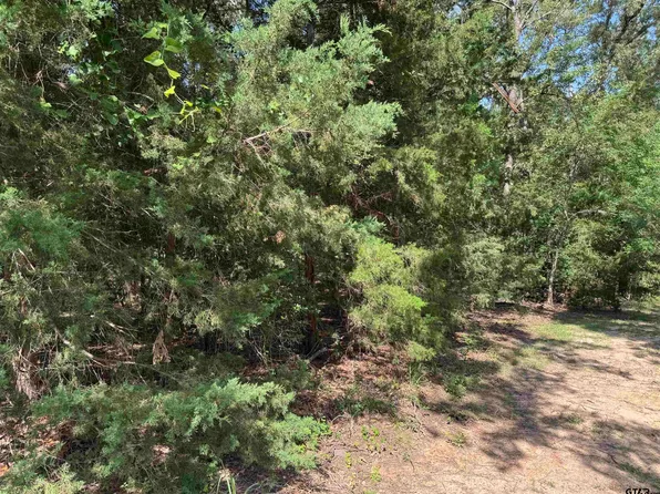 4 Cypress Creek Dr, Mount Vernon, TX 75457