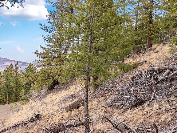 2nd image of 0 Upper Moss Rock Rd