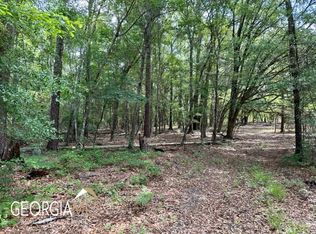 0 N Highway 19, Glenwood, GA 30428