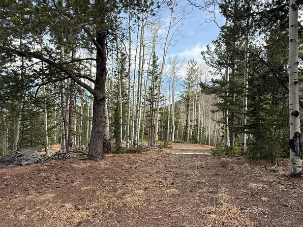 2930 County Road 61, Cripple Creek, CO 80813
