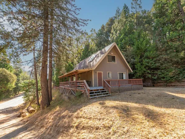 16575 McKenzie Dr, Pioneer, CA 95666