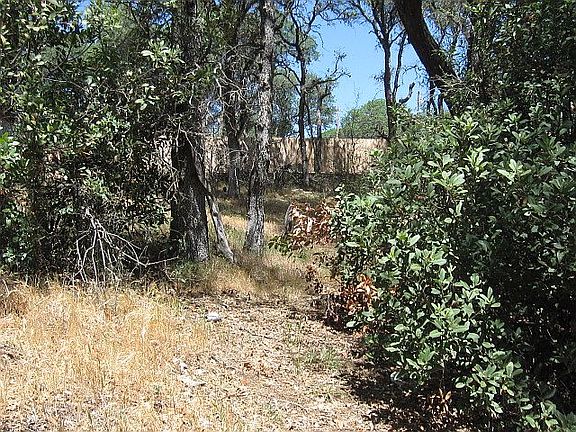 4th image of 15840 20th Ave