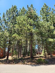 1473 Pioneer Trl, South Lake Tahoe, CA, 96150