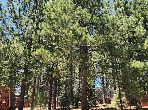 1473 Pioneer Trl, South Lake Tahoe, CA 96150