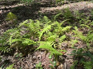 201 Blackberry Farm Rd W LOT 9, Monteagle, TN 37356