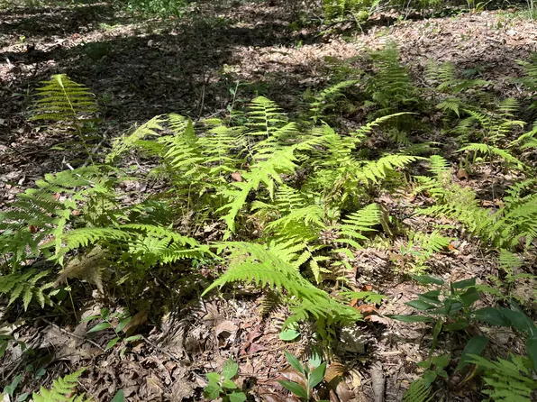 201 Blackberry Farm Rd W Lot 9, Monteagle, TN 37356