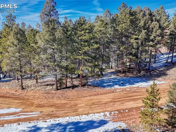 79 Huntsman Cir, Florissant, CO 80816