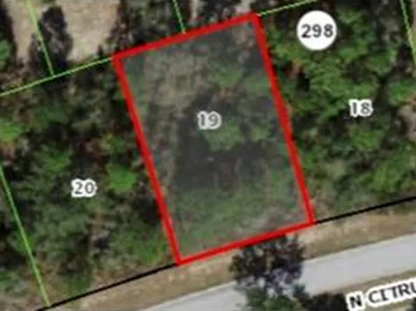 9236 N Citrus Springs Blvd Lot 19, Dunnellon, FL 34433