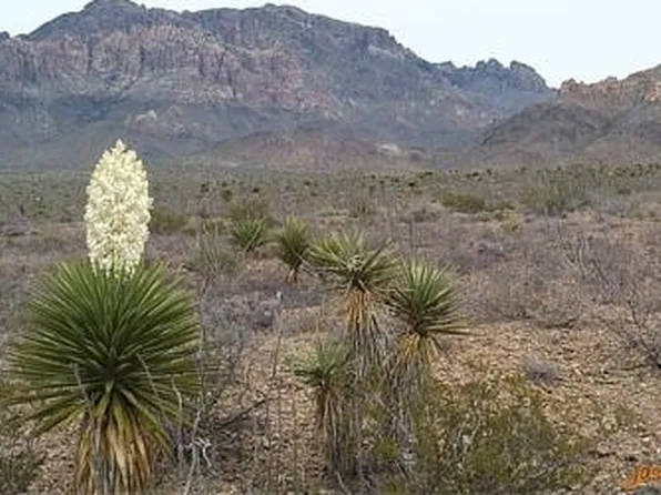 0 Van St, San Antonio, TX 78242