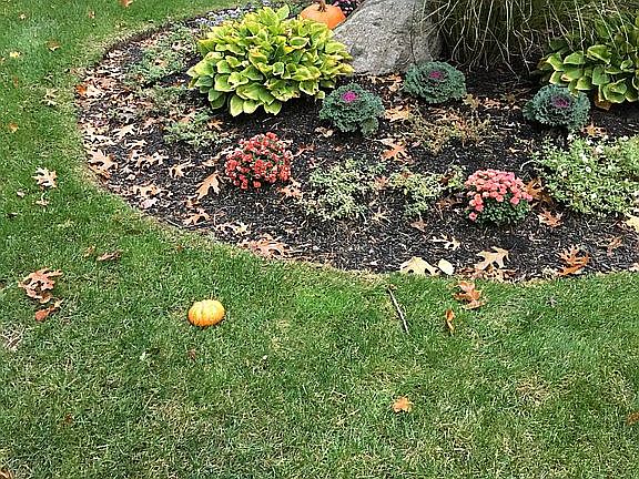 Autumn 