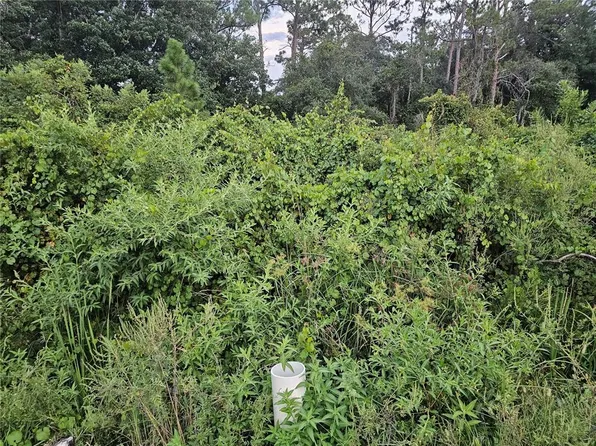 112 Draycott Ave Lot 6, Lake Placid, FL 33852