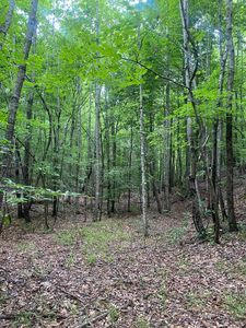 Purdy Beauty Hill Rd, Selmer, TN, 38375