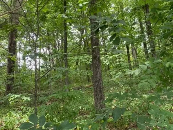 8722 Bobwhite Dr, Hernando, MS 38632