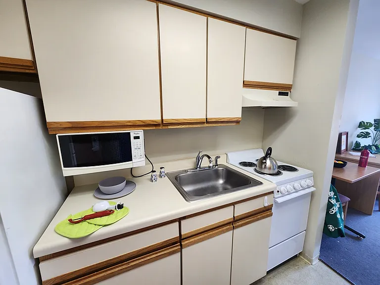 Collegetown Court, 208 Dryden Road — Photo 35