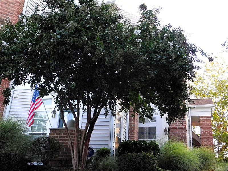 Mature landscaping, new roof and siding; easy first floor ac