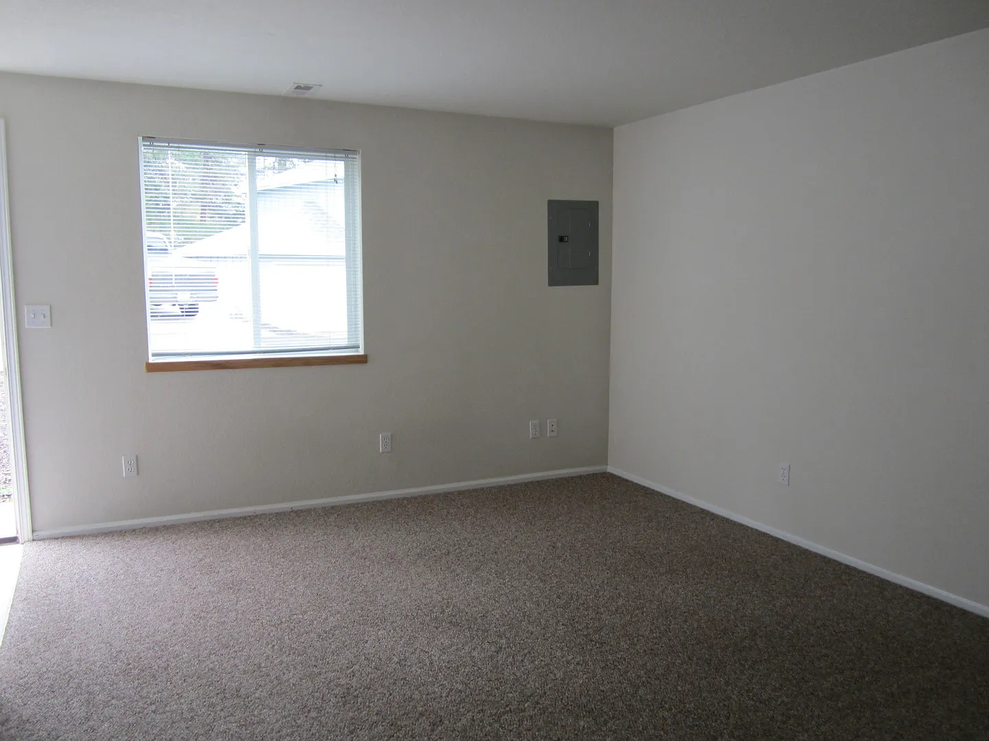 will01 — Photo 3