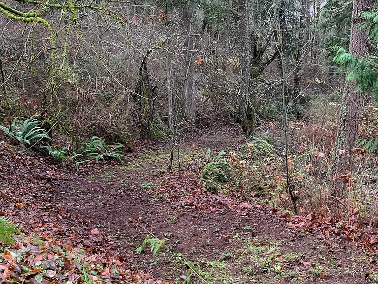 16948 Bald Hill Rd SE — Photo 31