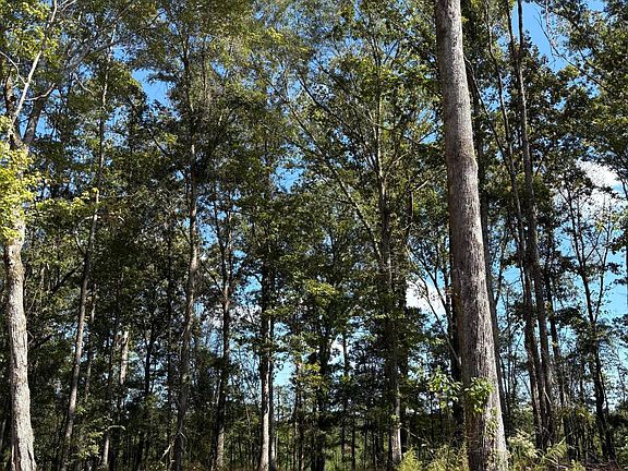 5th image of 229 Barnes Rd