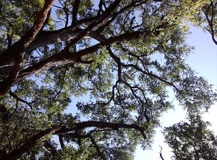 1445 NE 97th Rd, Wildwood, FL 34785