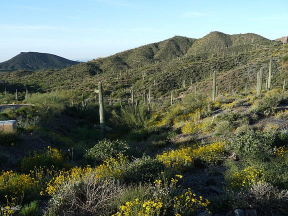 5th image of 42558 N Chiricahua Pass