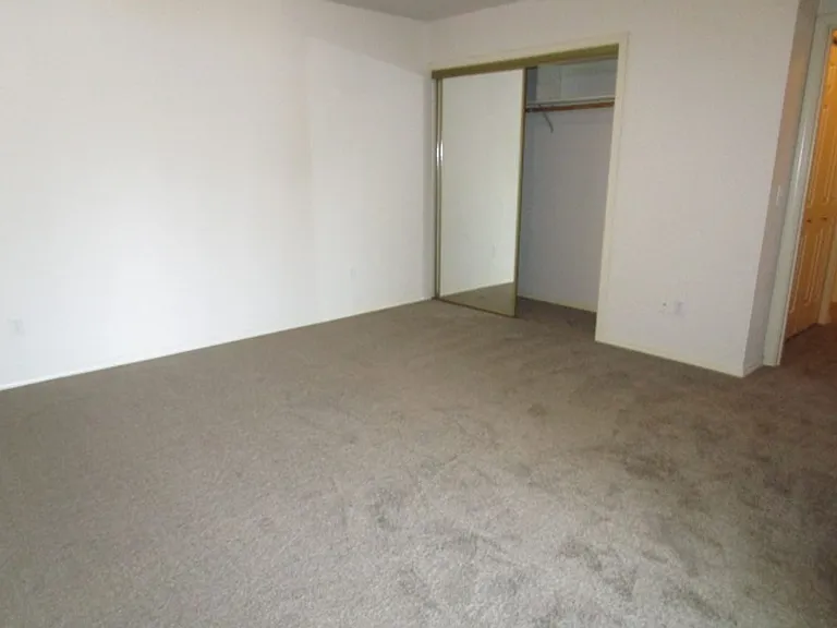 Warner Street, 105 — Photo 11