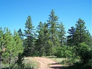 1st image of 8098 Acoma Dr
