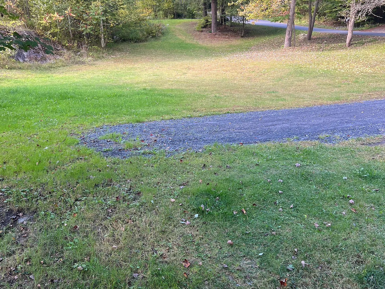 Studio, 768 sqft, $1,500 — Photo 2