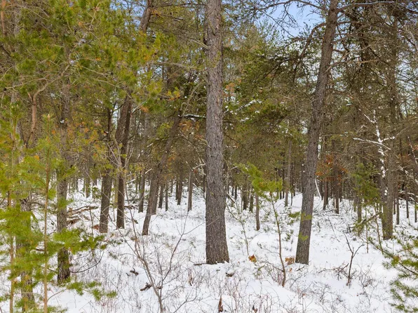 PARCEL Van Trl #D, Marion, MI 49665