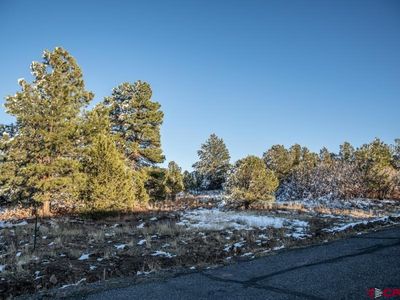 Lot 554 N Badger Trail, Ridgway, CO, 81432