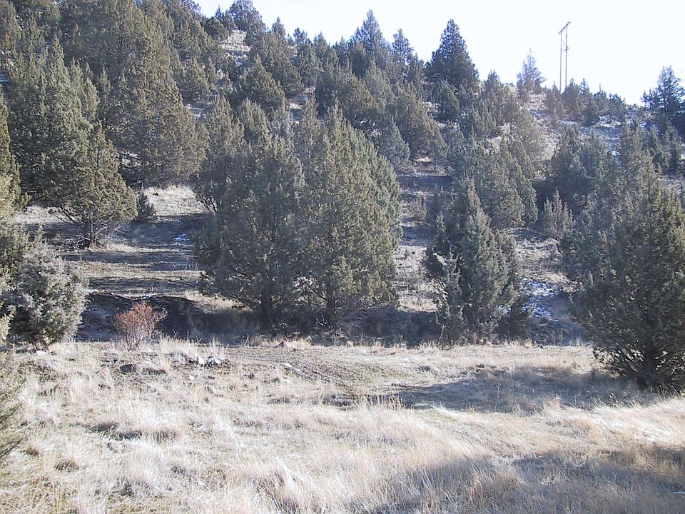 1st image of Patterson Dr