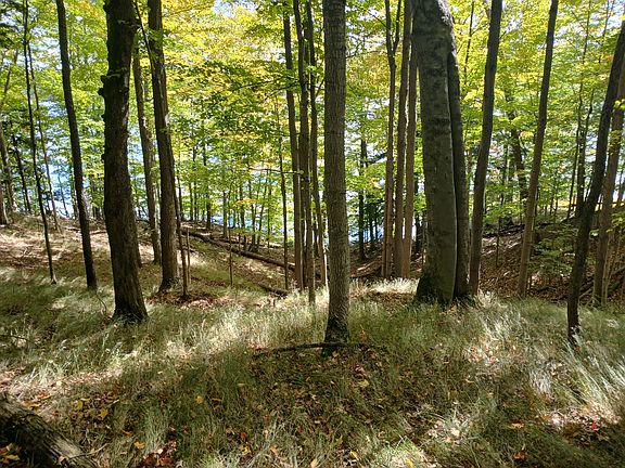 3rd image of W Nurnberg Rd