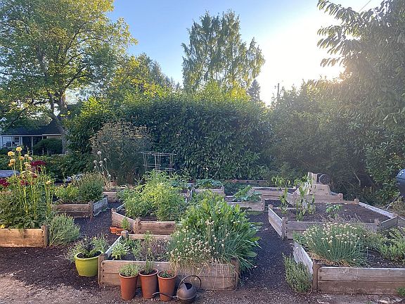 Raised bed garden