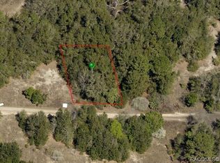 2210 Wilson St, Inverness, FL 34453