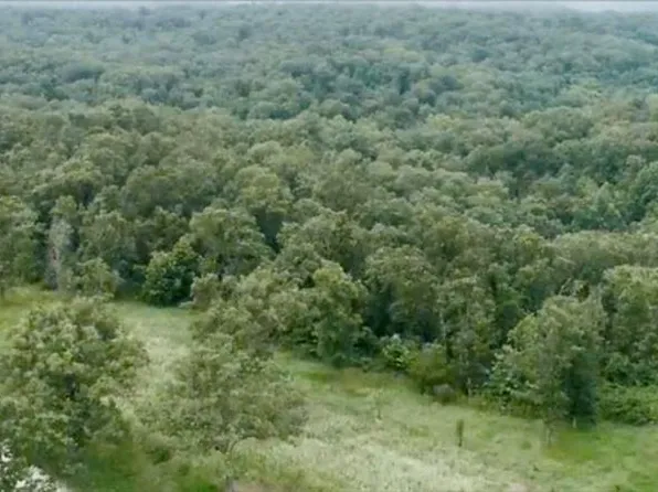 Kolb Hollow Rd, Climax Springs, MO 65324
