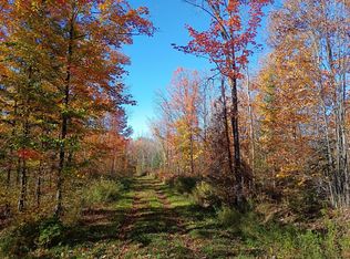 160 Peeksville Rd, Butternut, WI 54514