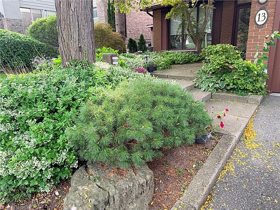4th image of 13 Mistflower Rd