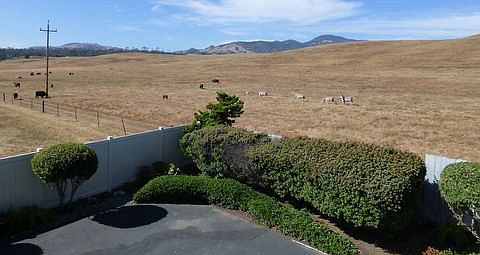 Balcony Mountain View