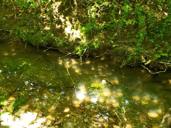 0 Radford Ln, Arrington, VA 22922