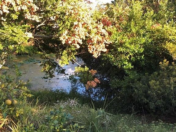 4th image of 12 Florida Park Dr