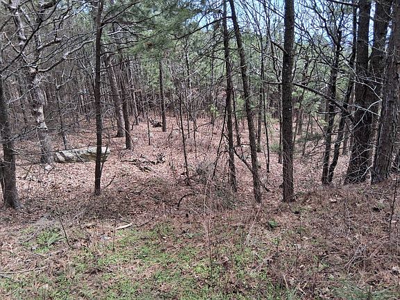 3rd image of 13591 SE 180th Rd