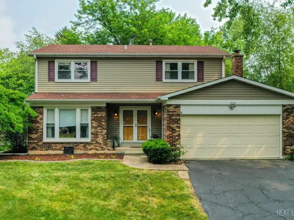 1001 Sara Ln, Naperville, IL 60565