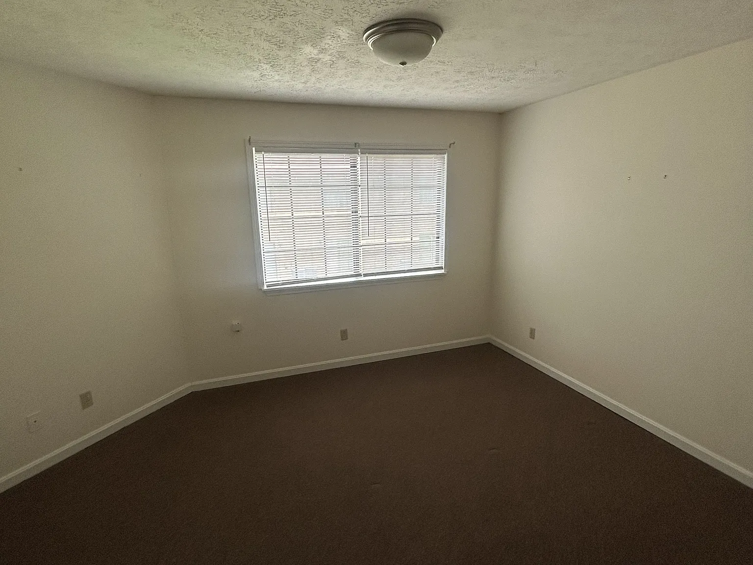392 Shelby Avenue - Unit 13 — Photo 2