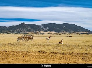 9310 Jackson Rd, Lake George, CO 80827