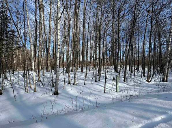 LOT 64 Little Deer Rd, Iron River, MI 49935
