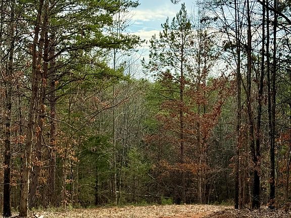 3rd image of Lots 8 & 9 Curtis Rd