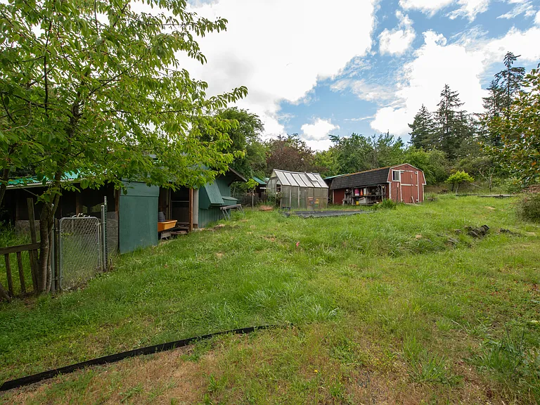 Coop Storage/Greenhouse/Shed (from side area)