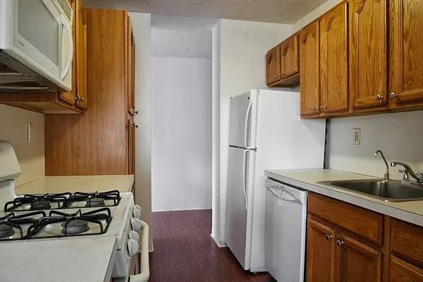 Sold by Cicada International LLC | media 3