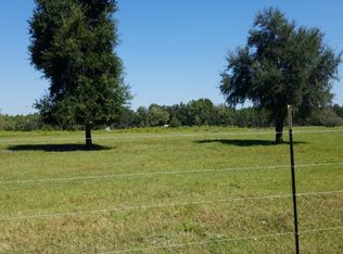 880 SE Adams Rd, Branford, FL 32008