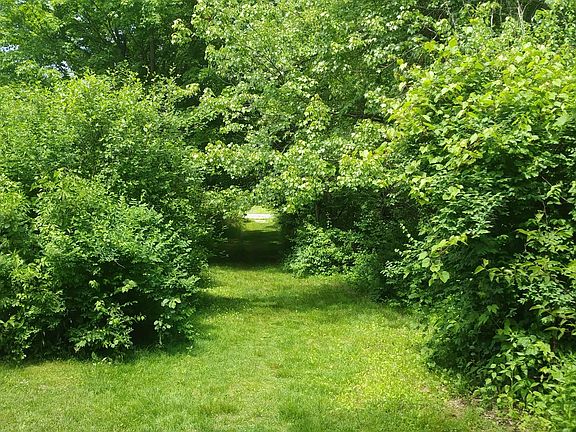 Walk to conservation area